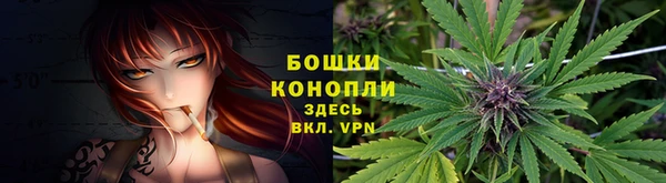 каннабис Алзамай