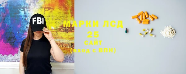 гидра Кулебаки