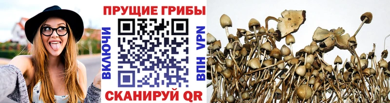 Галлюциногенные грибы Magic Shrooms  даркнет состав  Нытва 